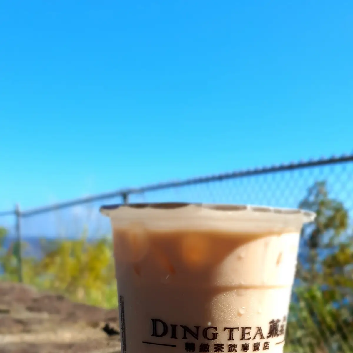 Milk Tea