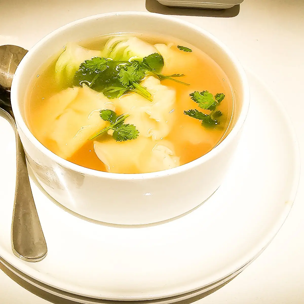 Wonton Soup