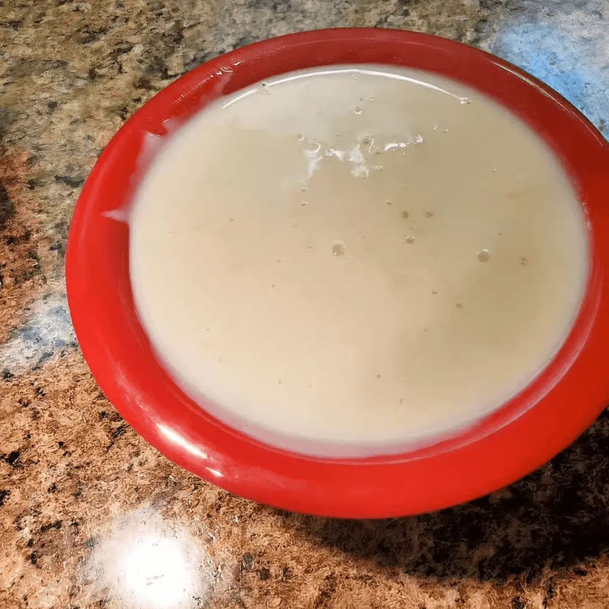 Cheese Dip