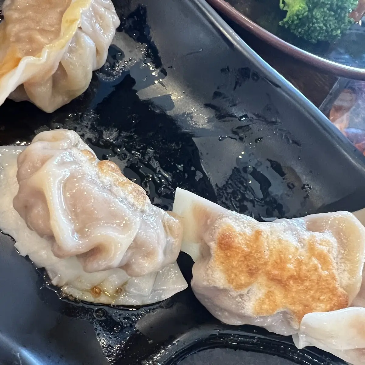 Pan Fried Dumpling