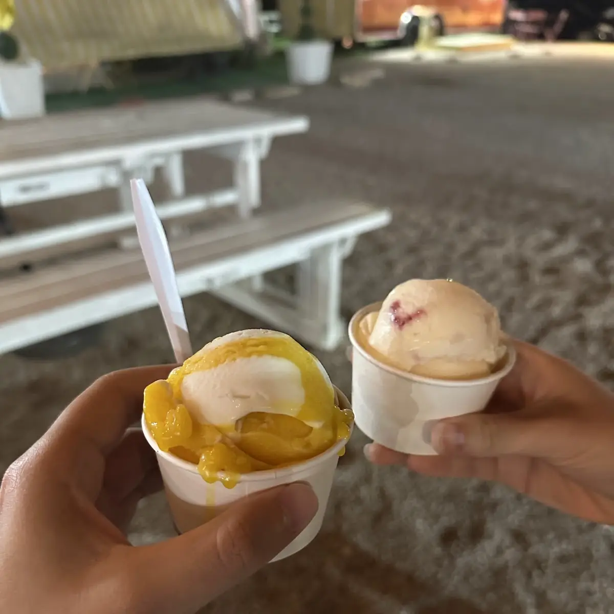 Mango Sticky Rice Gelato Large