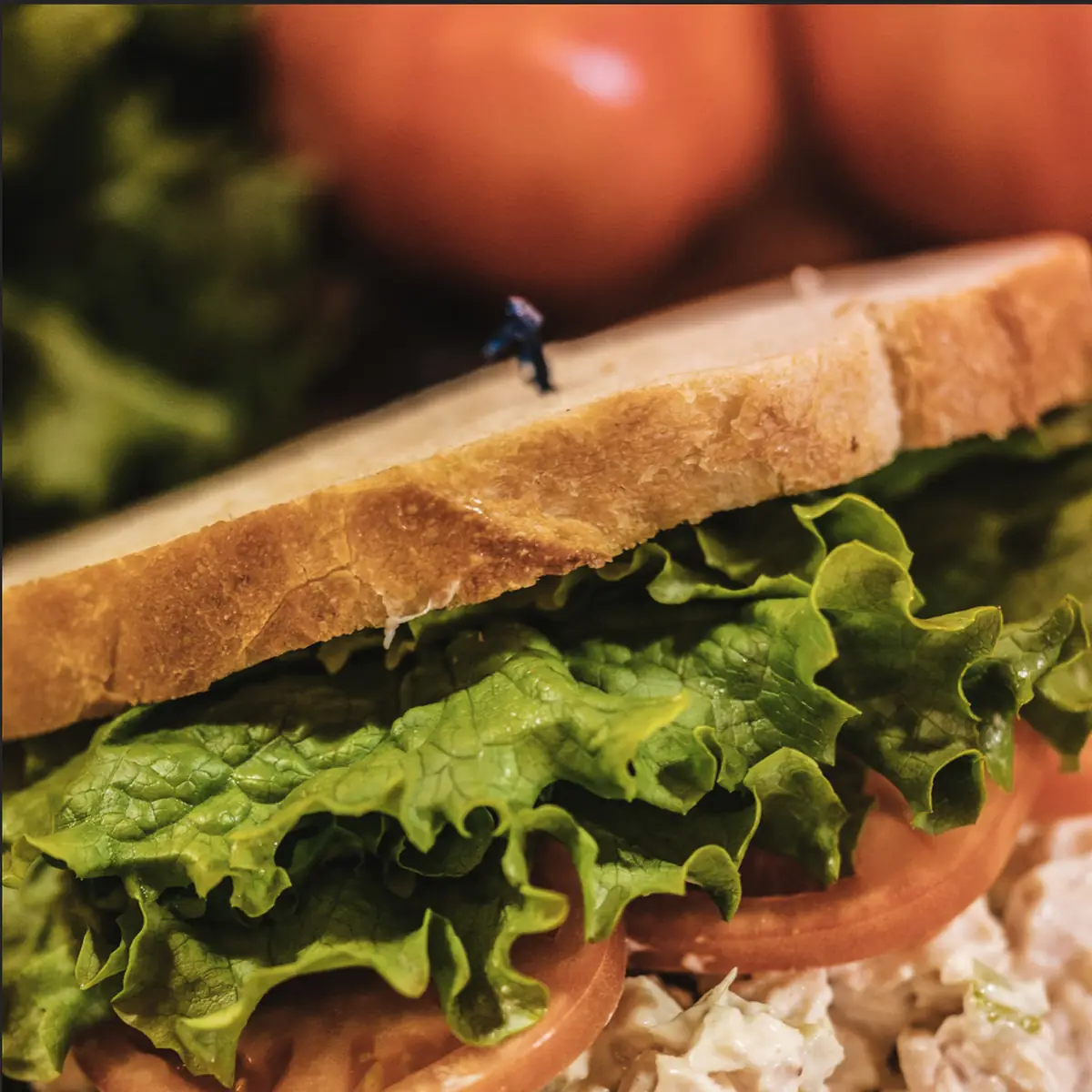7 Turkey Salad Sandwich
