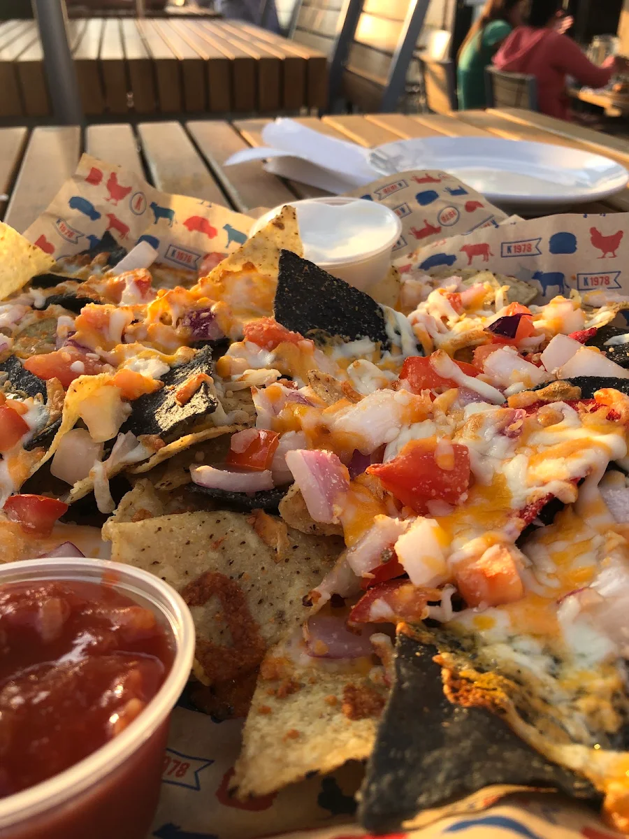 Big Rig Loaded Nachos