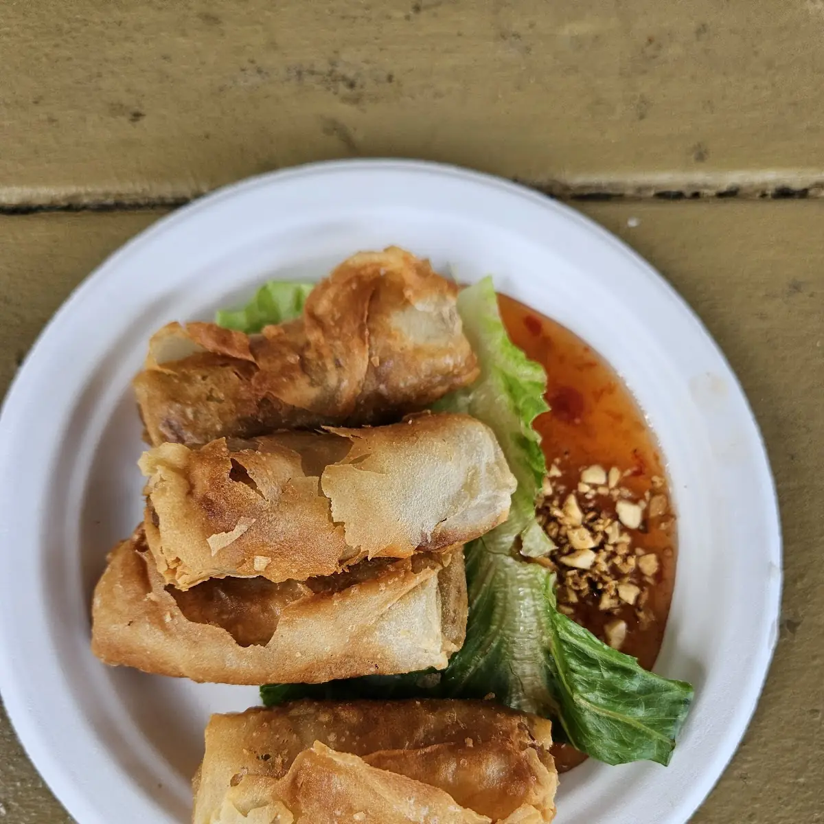 Deep Fried Vegan Spring Roll