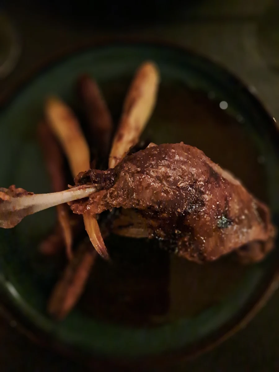 Canard