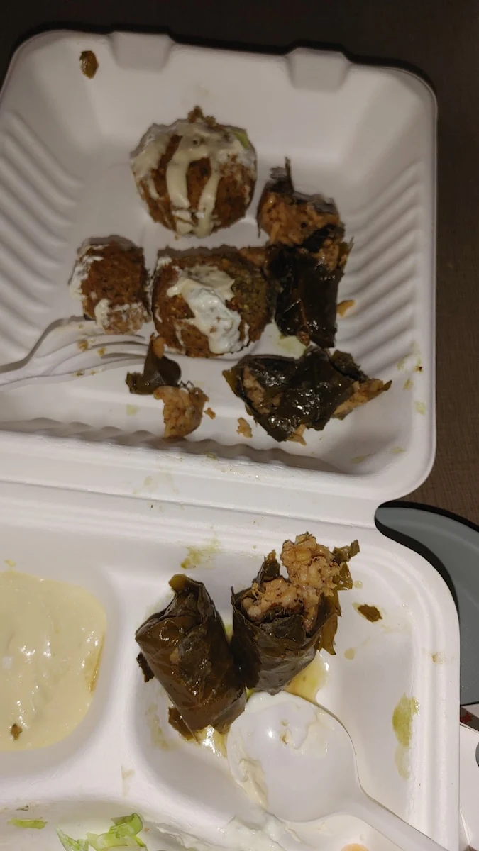 Falafel Wrap regular size