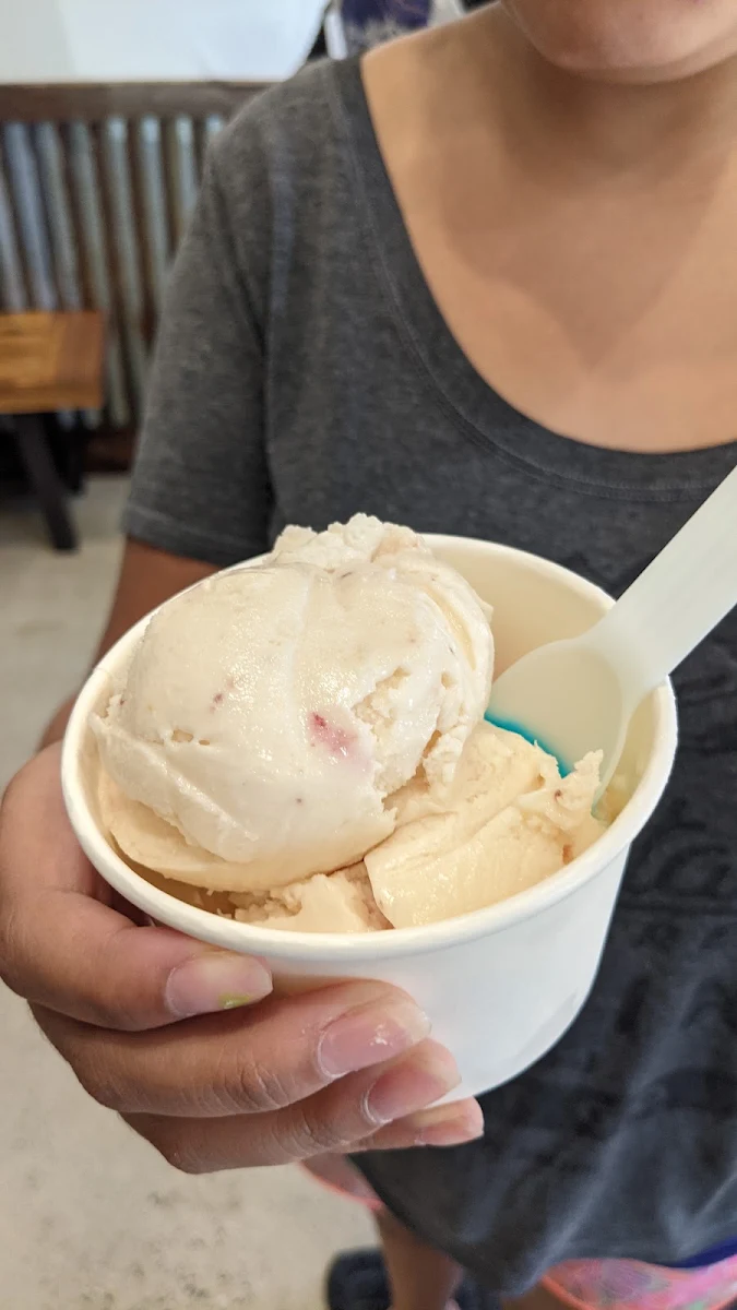 Birthday Cake Ice Cream