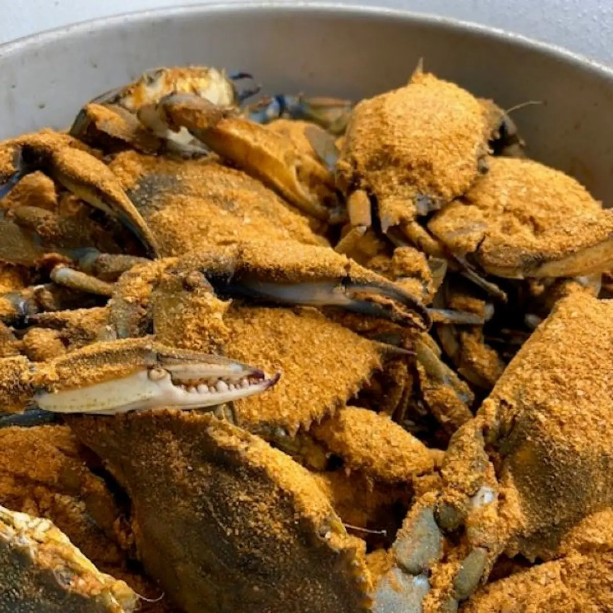 Soft Shell Crab