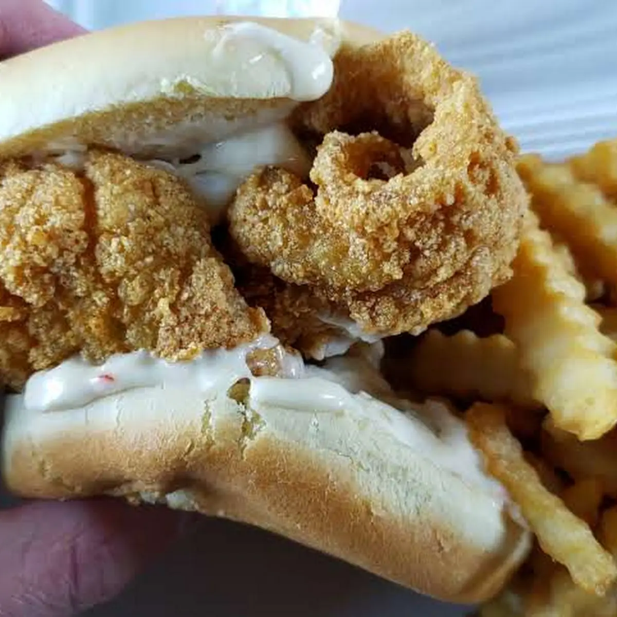 Fish Sandwich Combo