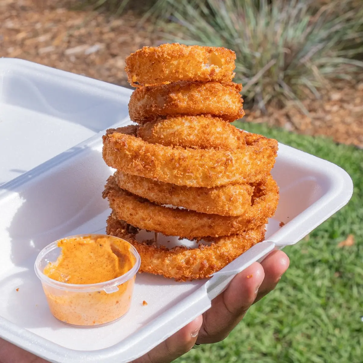 Onion Rings