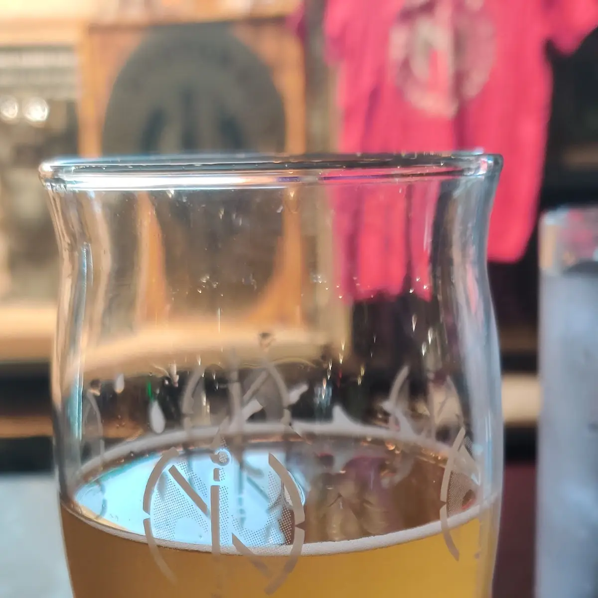 Just IPA Kinda Beer 0 R Onion Rings