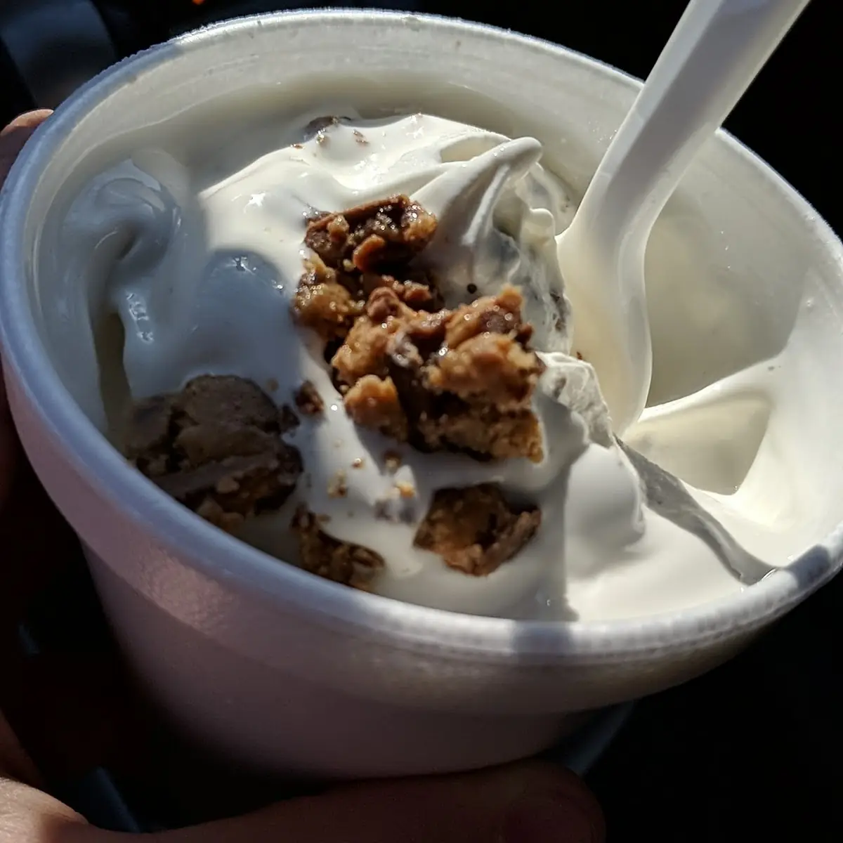 Flurry with Reese's Peanut Butter Cup