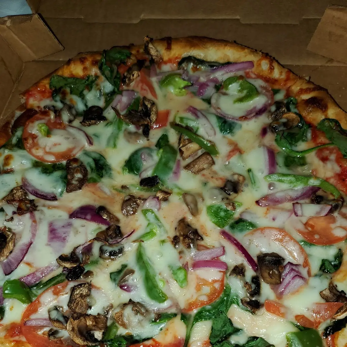 Stuffed Veggie Pizza