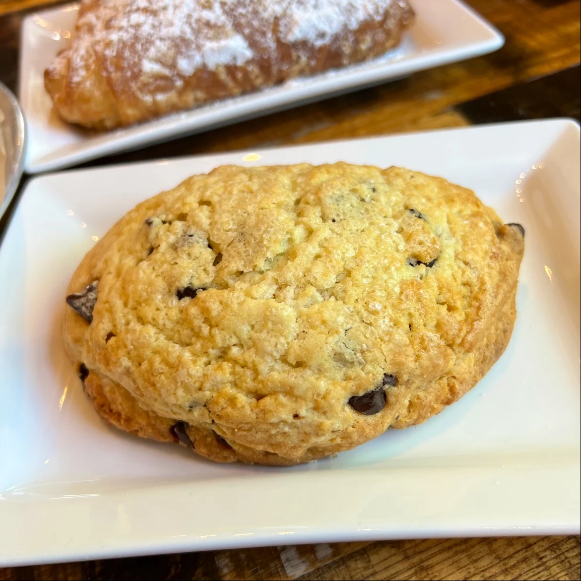 Chocolate Chip Scone
