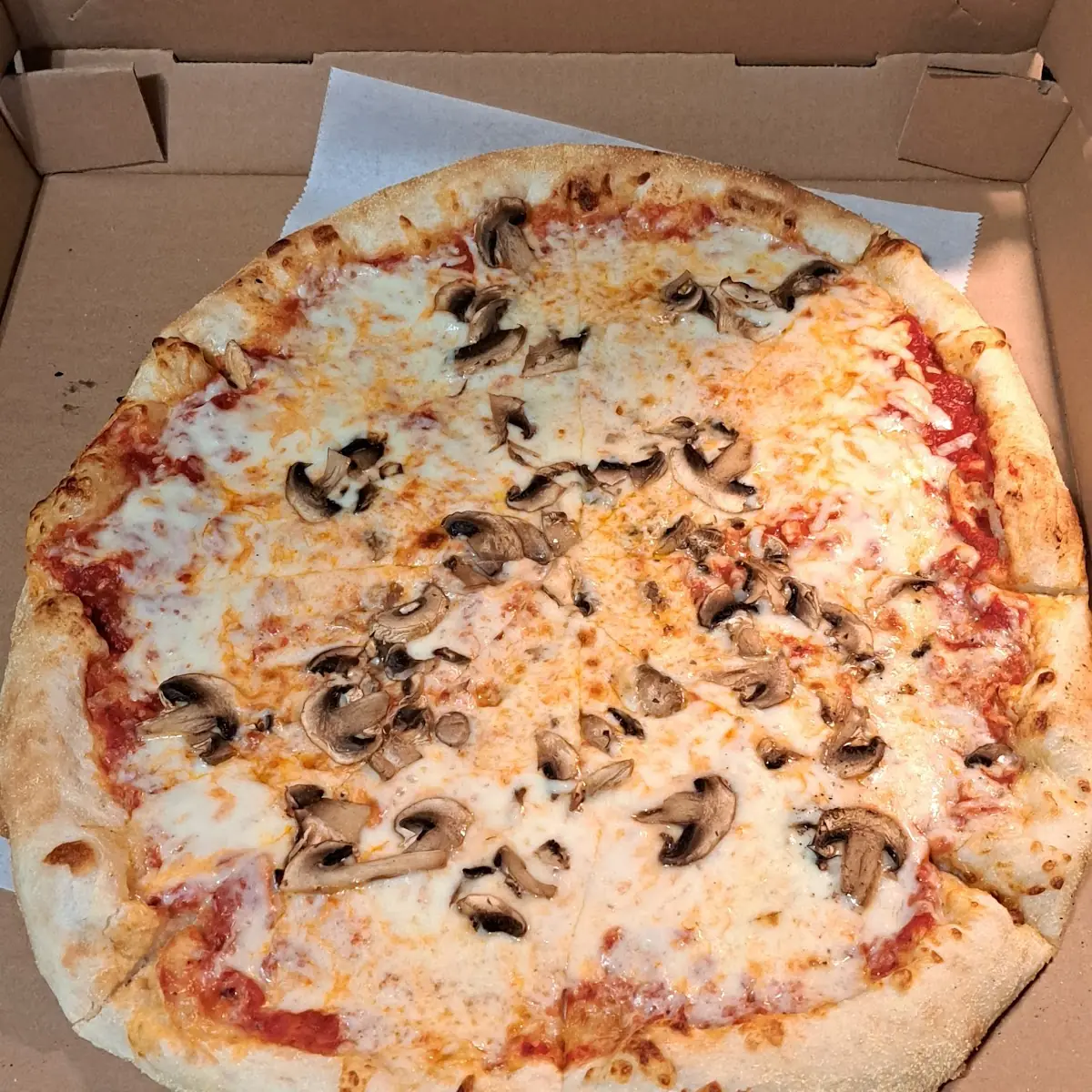 lg Mushroom Pizza