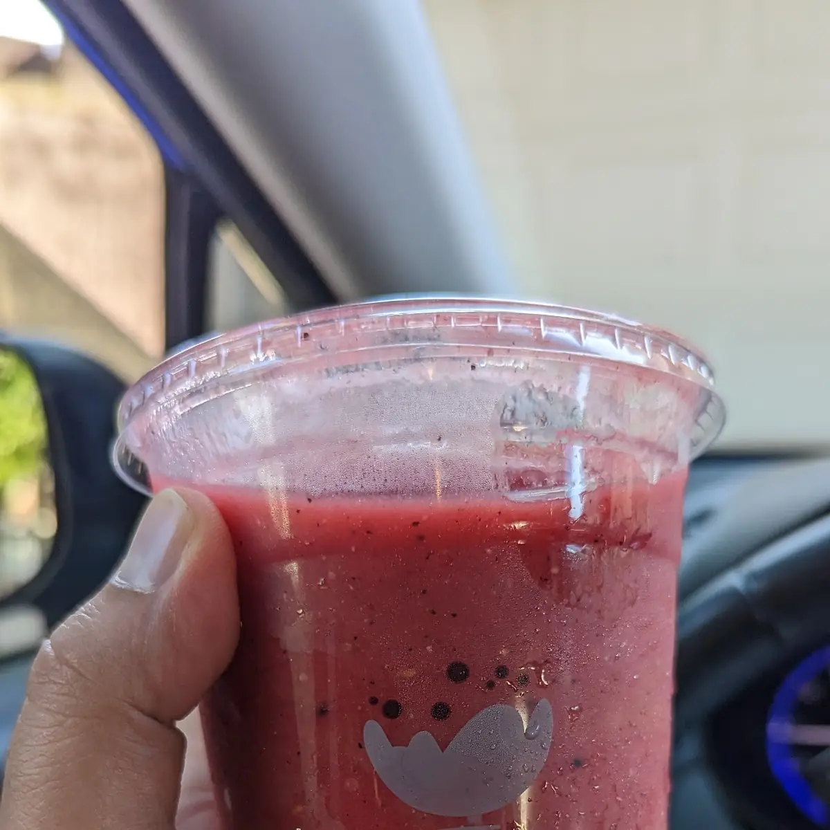 Dragon Envy Cold Pressed Smoothie