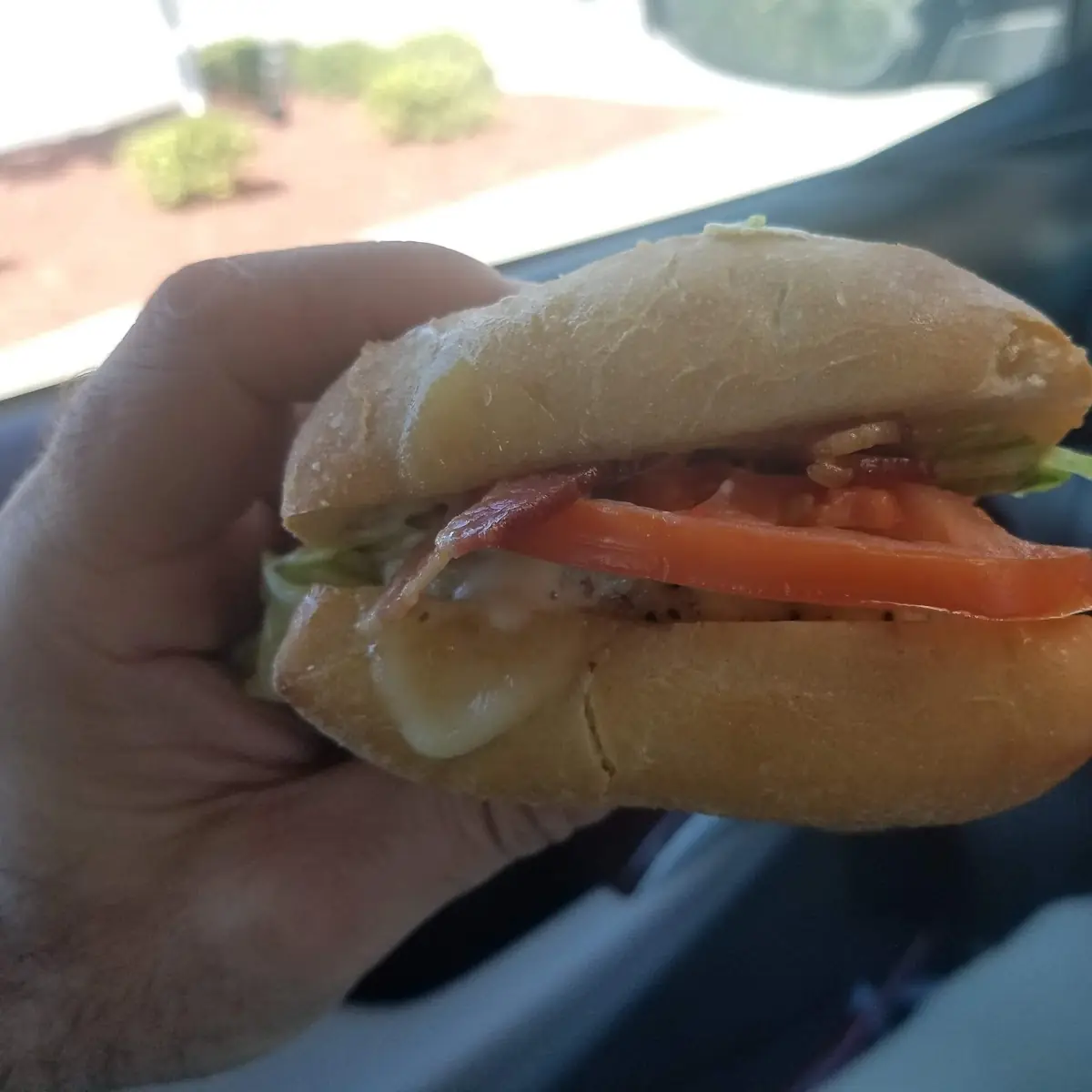 Bacon Ranch Chicken Sandwich