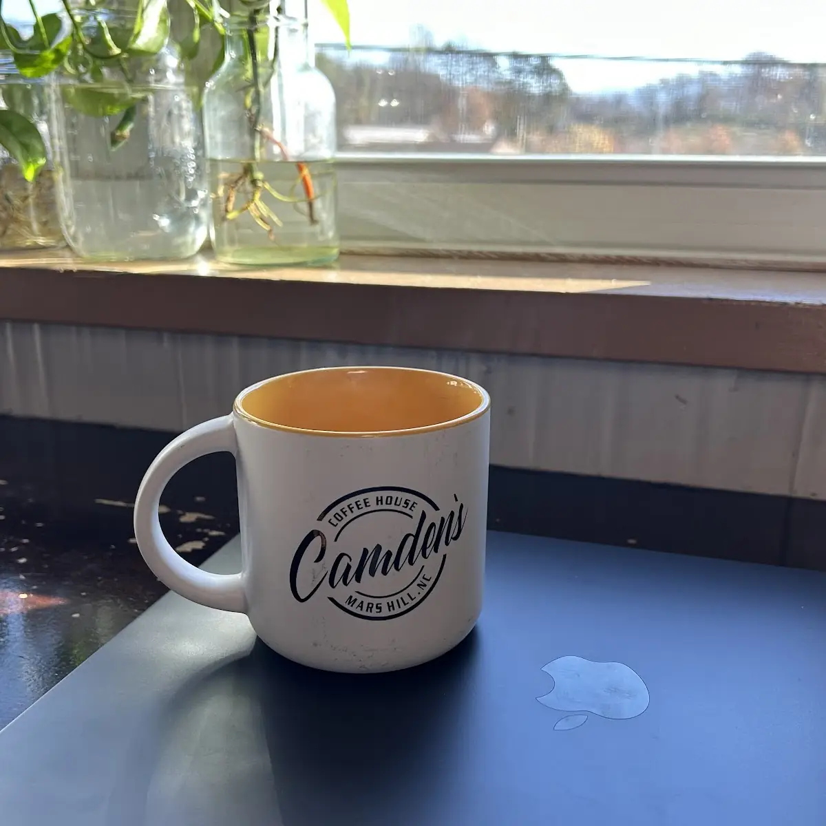 Camden’S Roast Drip Coffee
