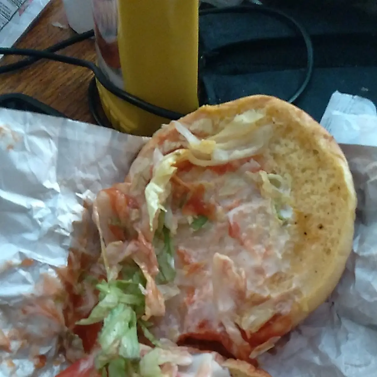 Double Cheeseburger Onion Only