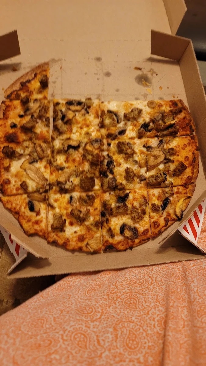 Thin Crust Sausage and Mushroom Pizza