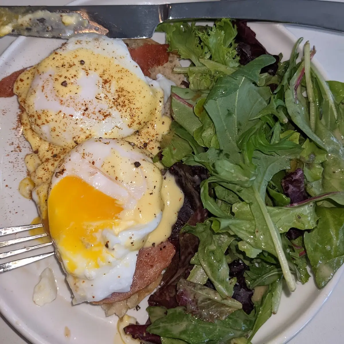 Poached Eggs Benedict