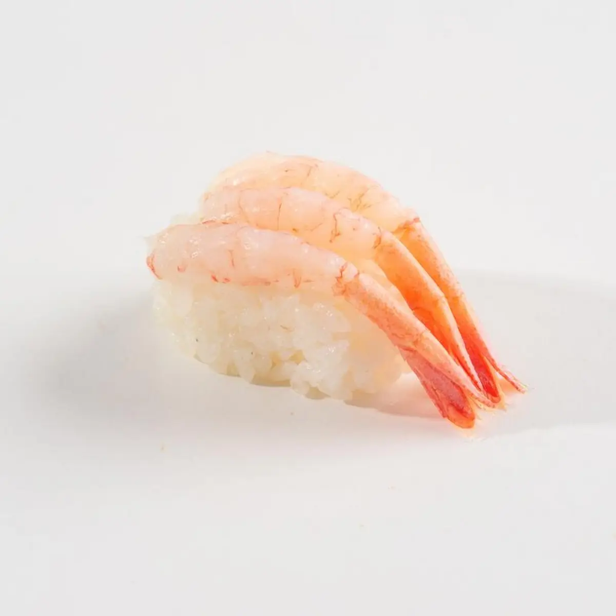 EBI Shrimp