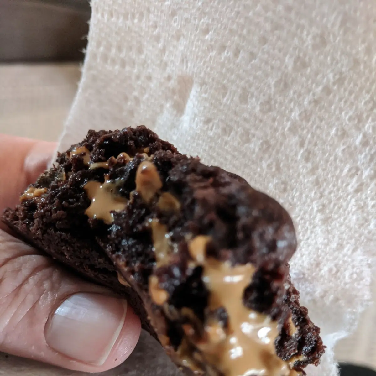 Chocolate Peanut Butter Cookies