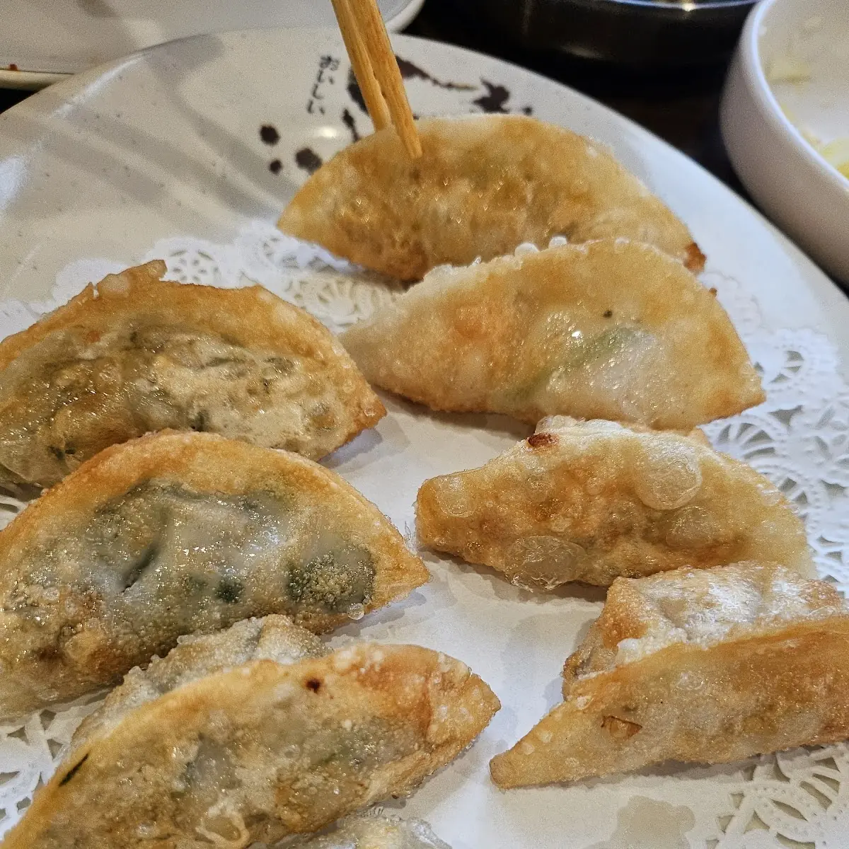 Crispy Fried Vegetable Dumplings