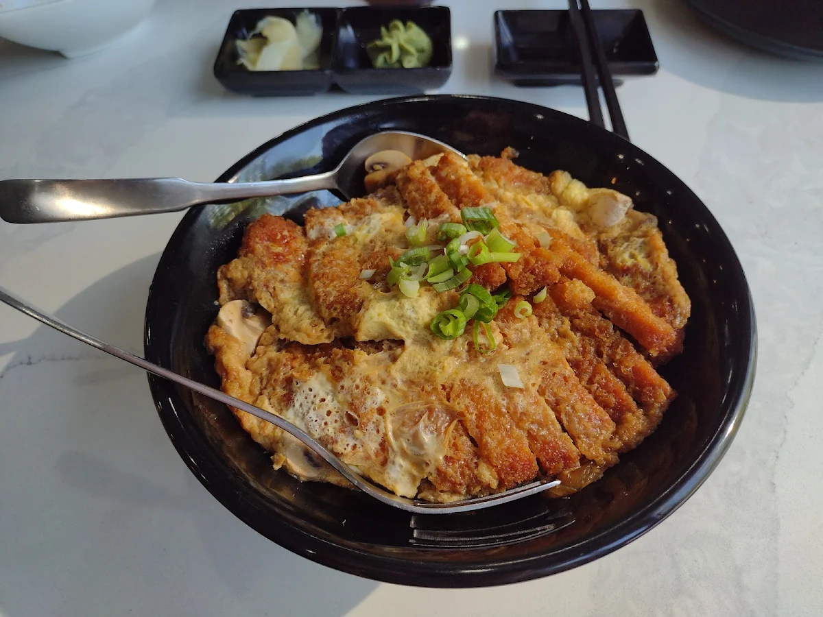 Katsu Don, H&D Sushi Japanese Restaurant