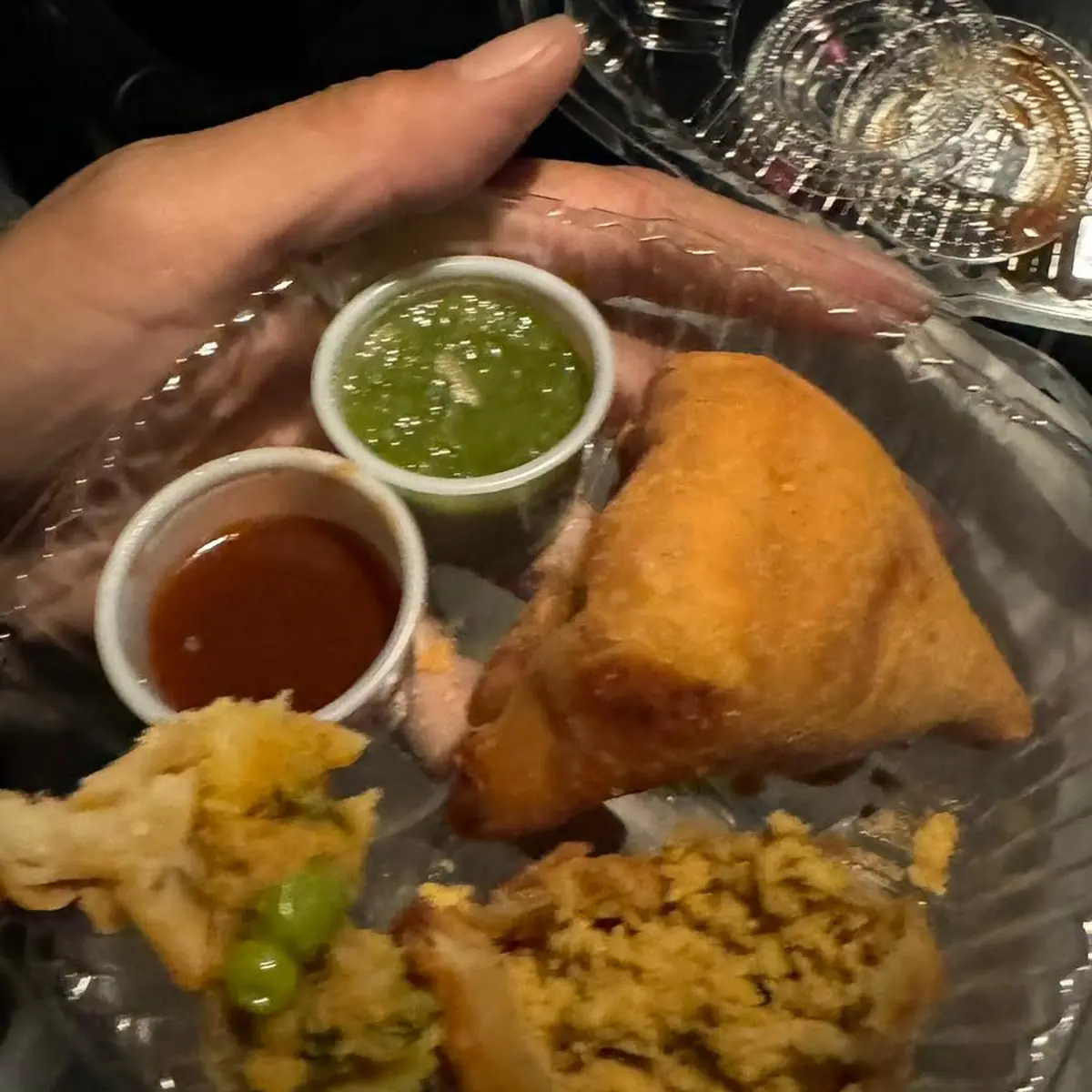 Veggie Samosa and Chicken Samosa