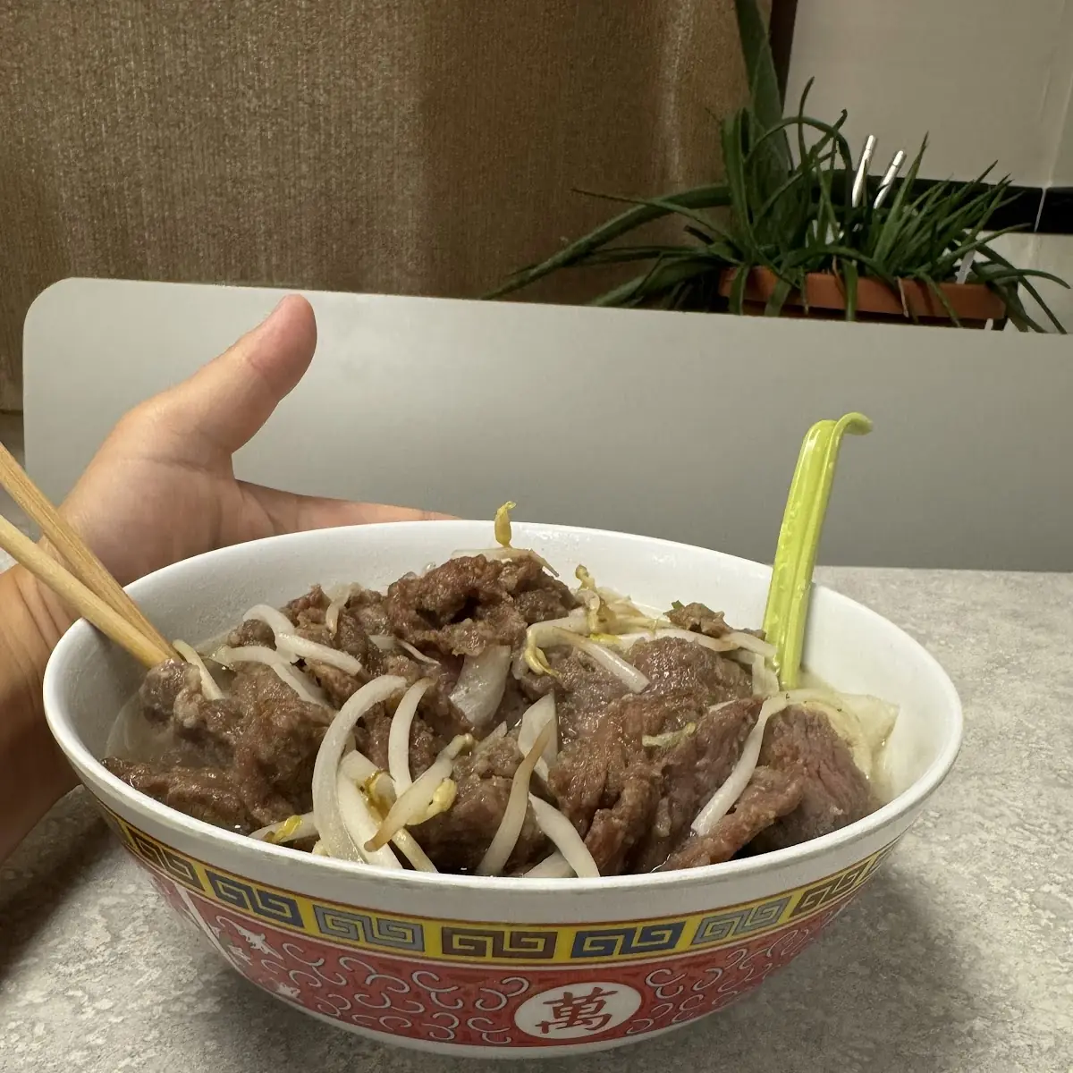 Beef Pho Noodle Soup