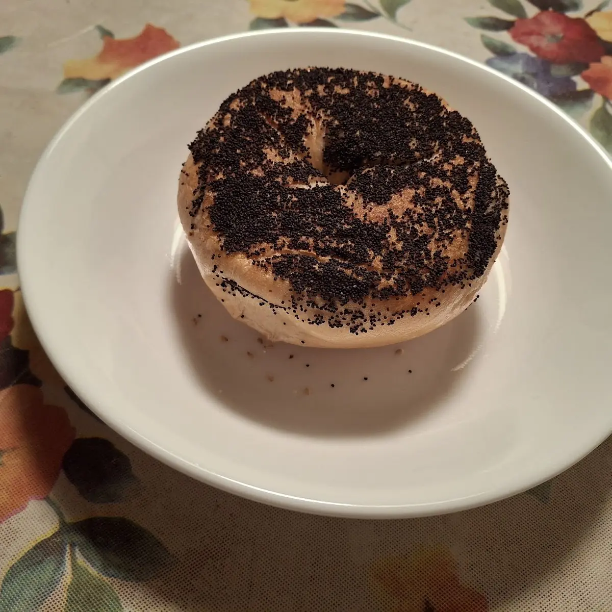 Poppy Seed Bagel