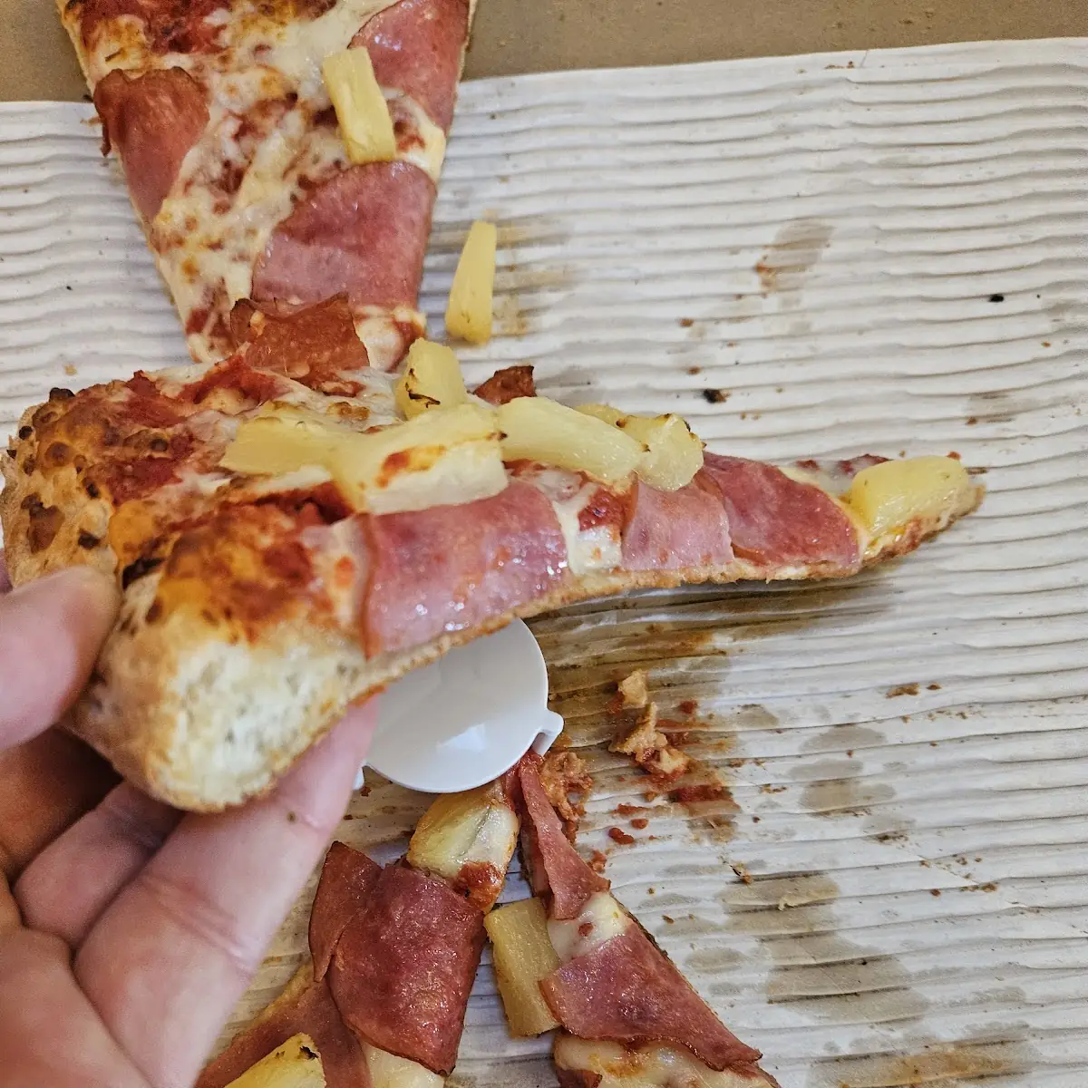 Hawaiian Pizza Slice