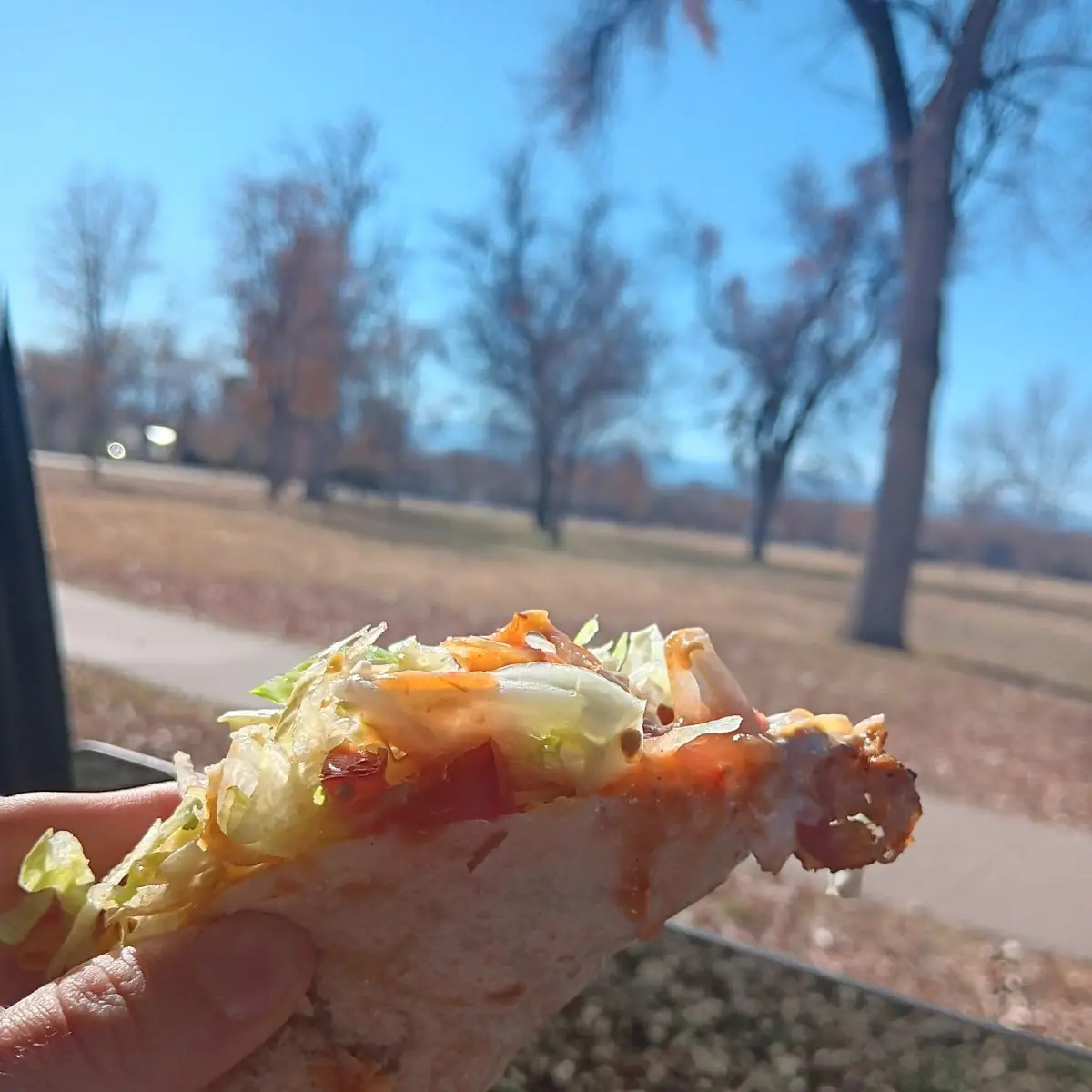 Grilled Chicken Taco