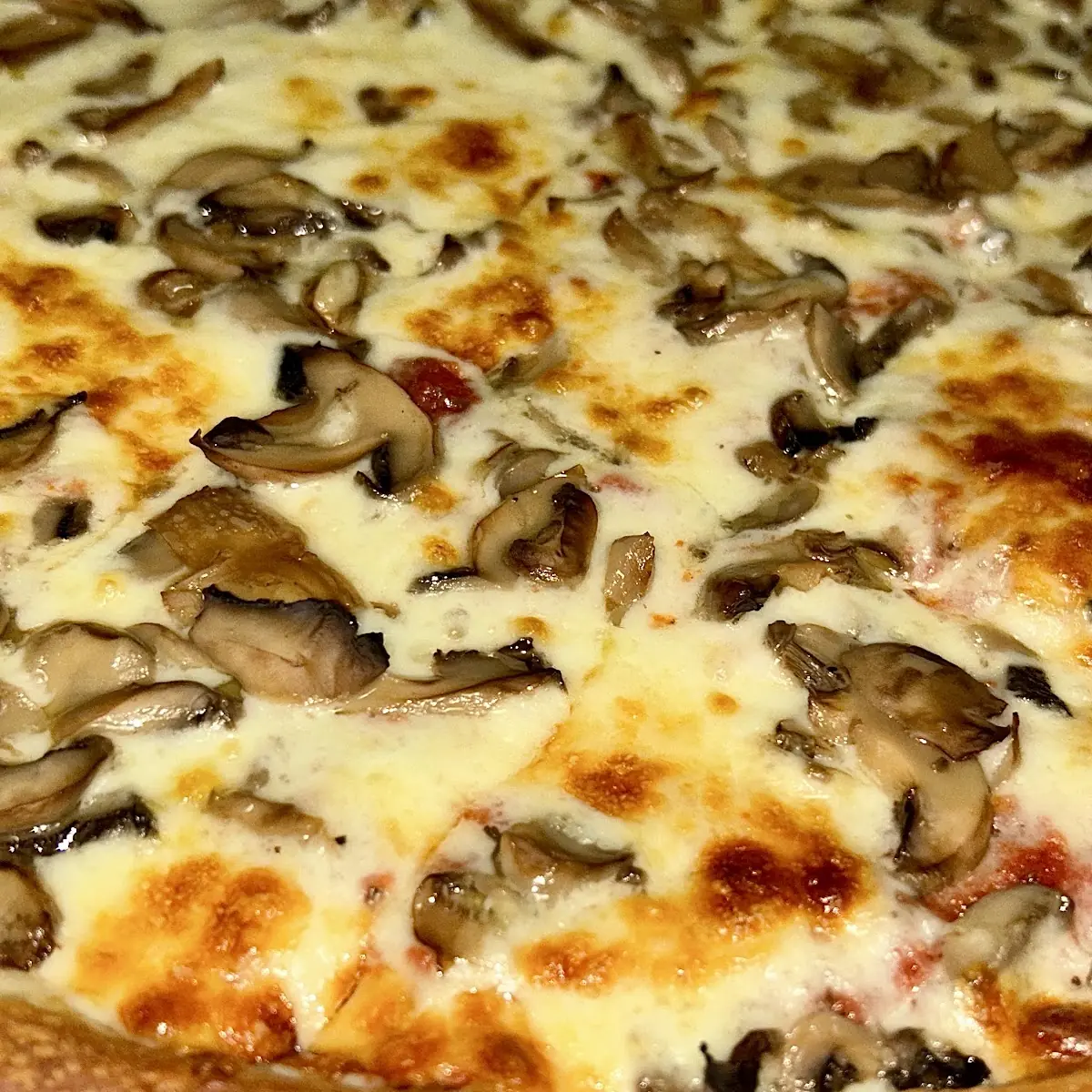 Medium Mushroom Pizza