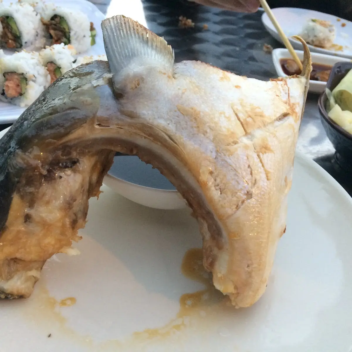Yellow Tail Cheek