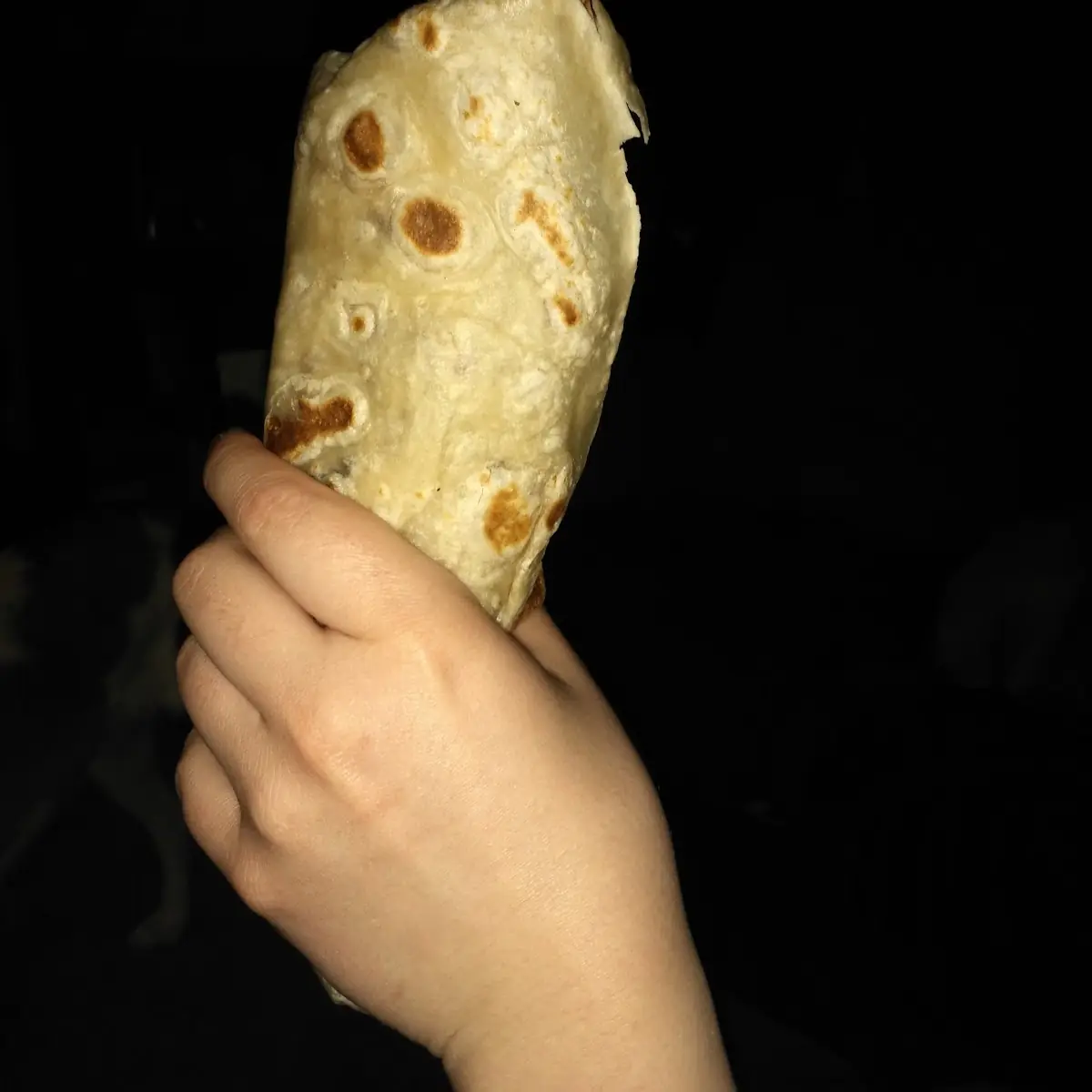 21) Beef Taco and Beef Burrito