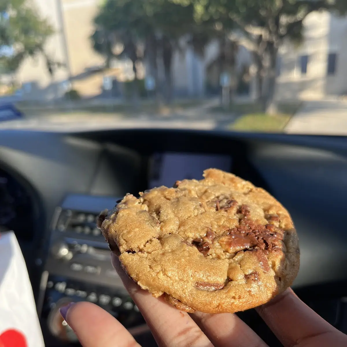 Oatmeal and Chocolate Chip Cookie