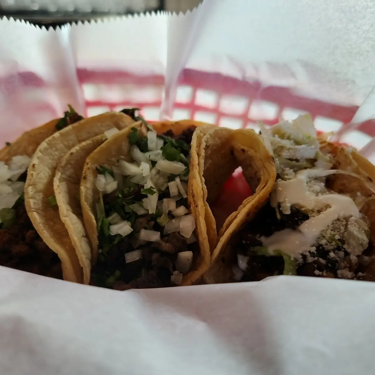 Birria & Al Pastor Tacos