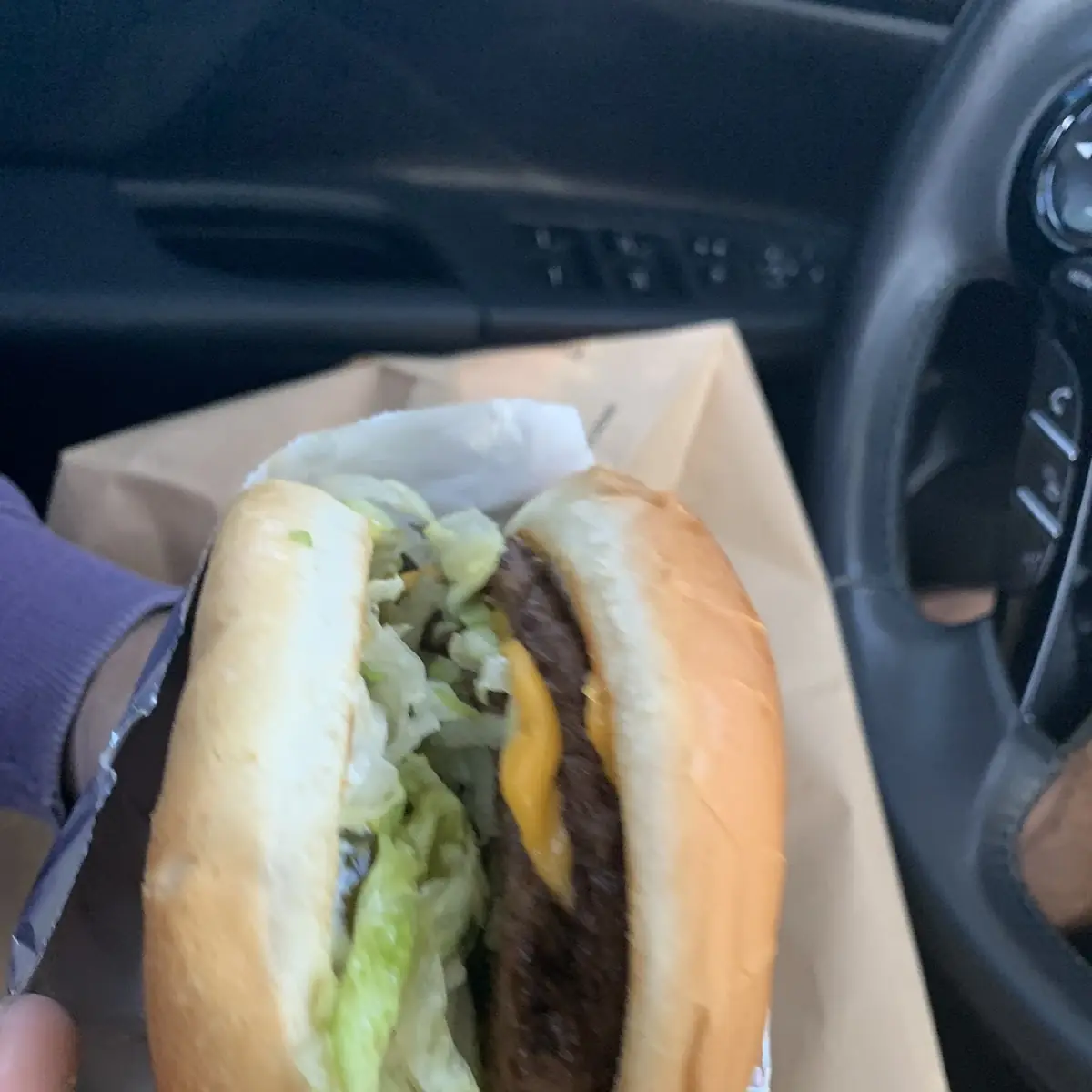 Double Cheeseburger