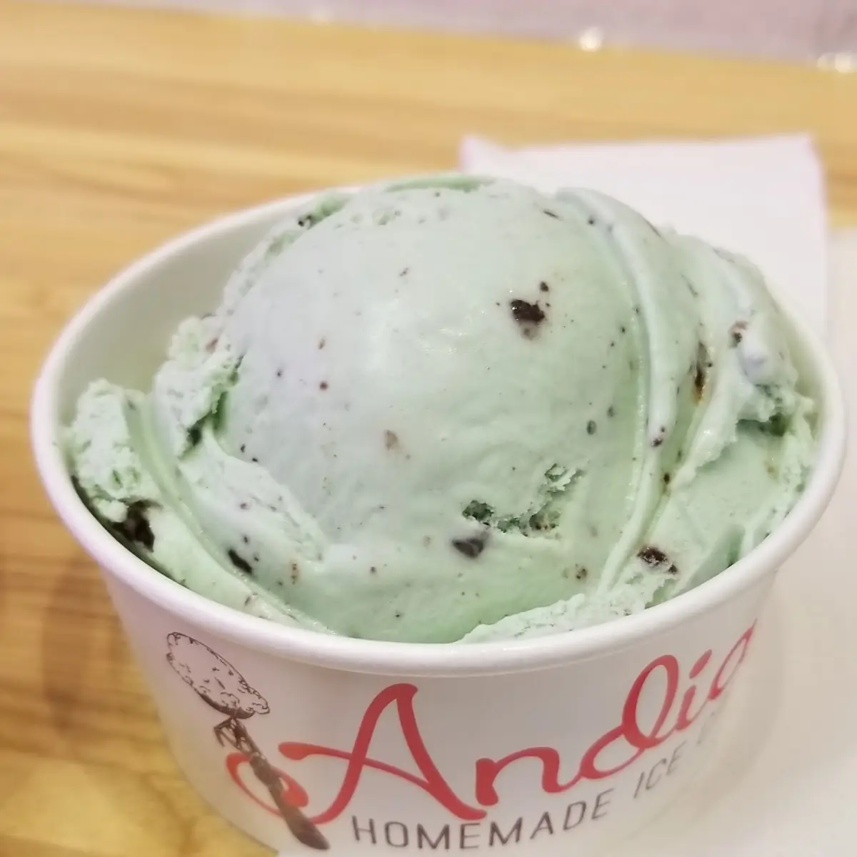 Mint Chocolate Chip