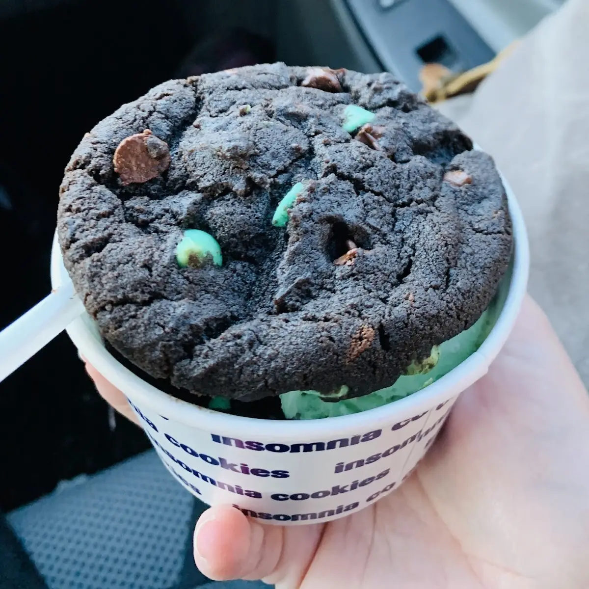 Mint Chocolate Chip Ice Cream