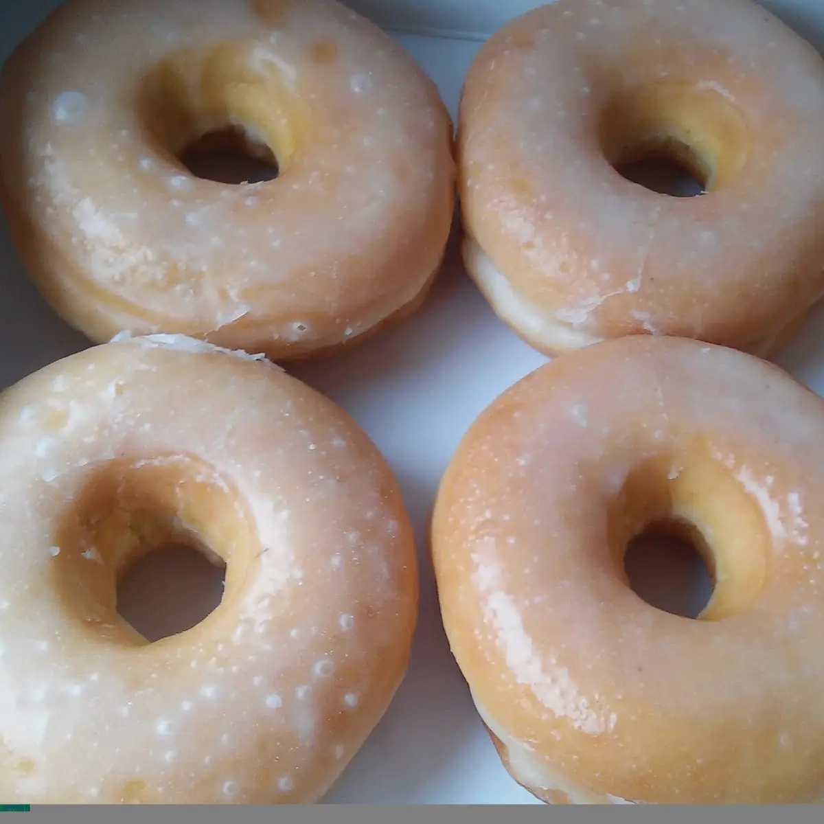 Doughnut