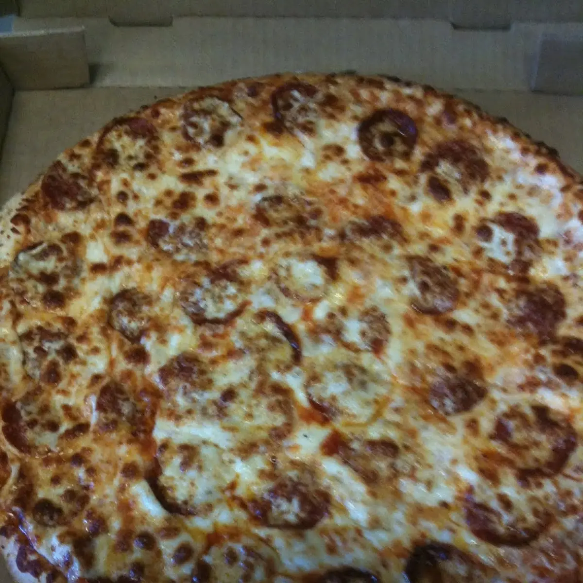Meat Pizza