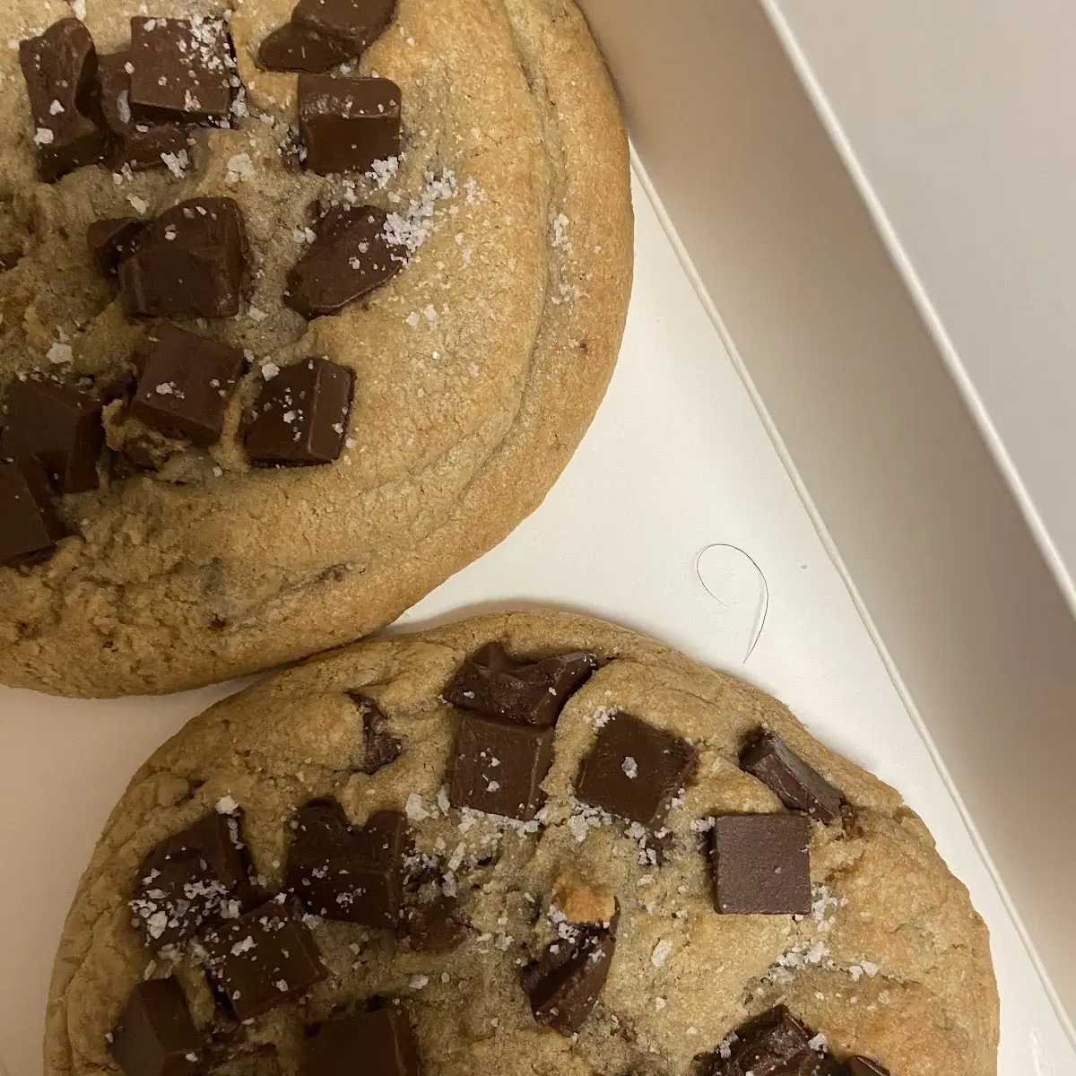 Chocolate Chip Cookie