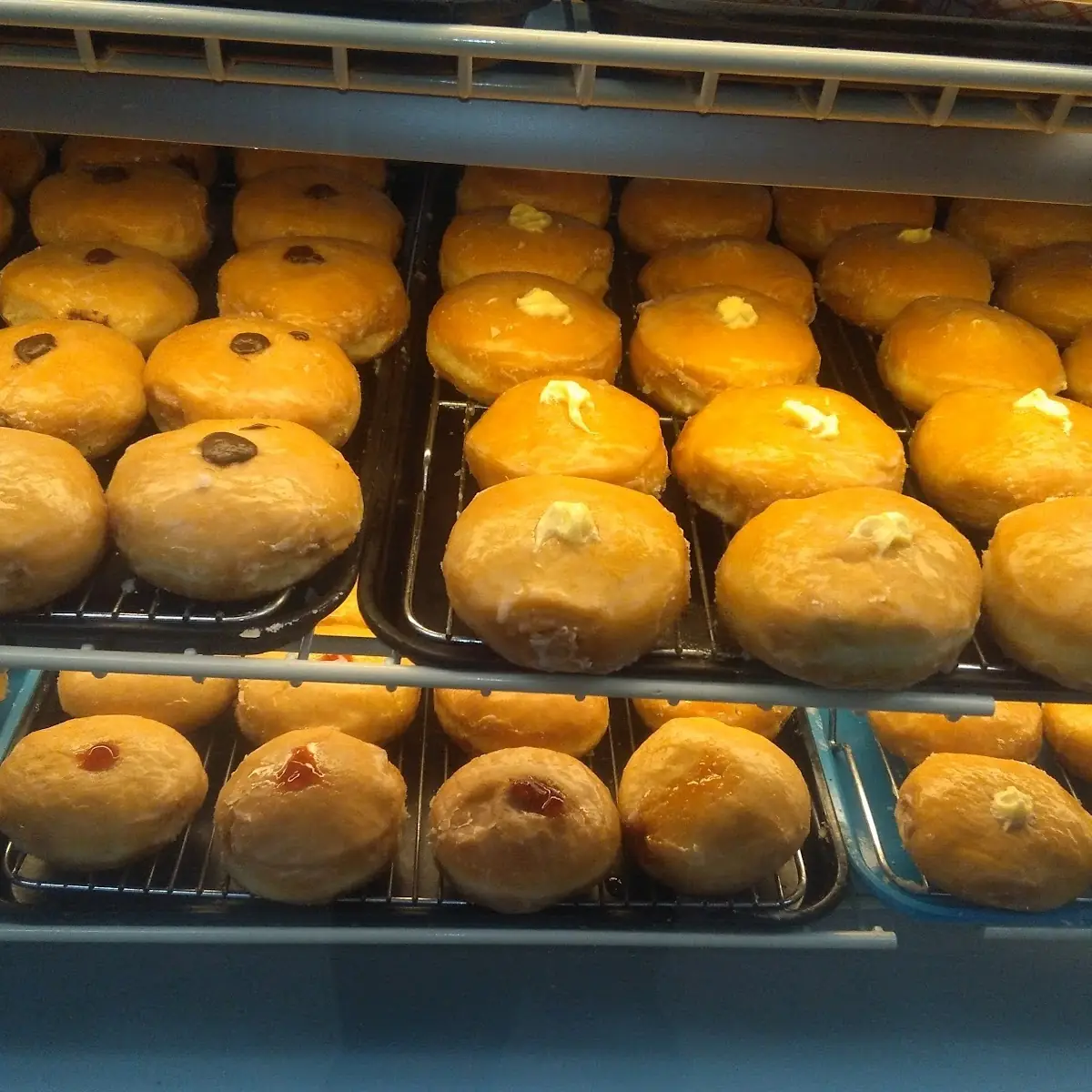 Filled Donuts 1