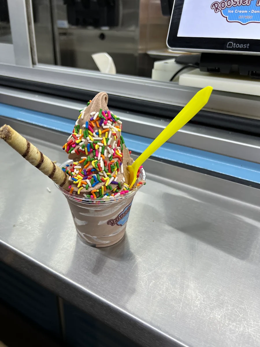 Chocolate Ice Cream