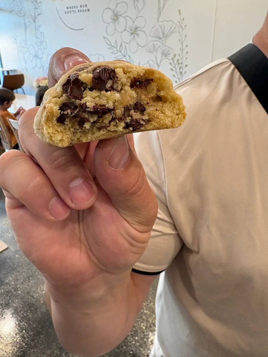 Chocolate Chip