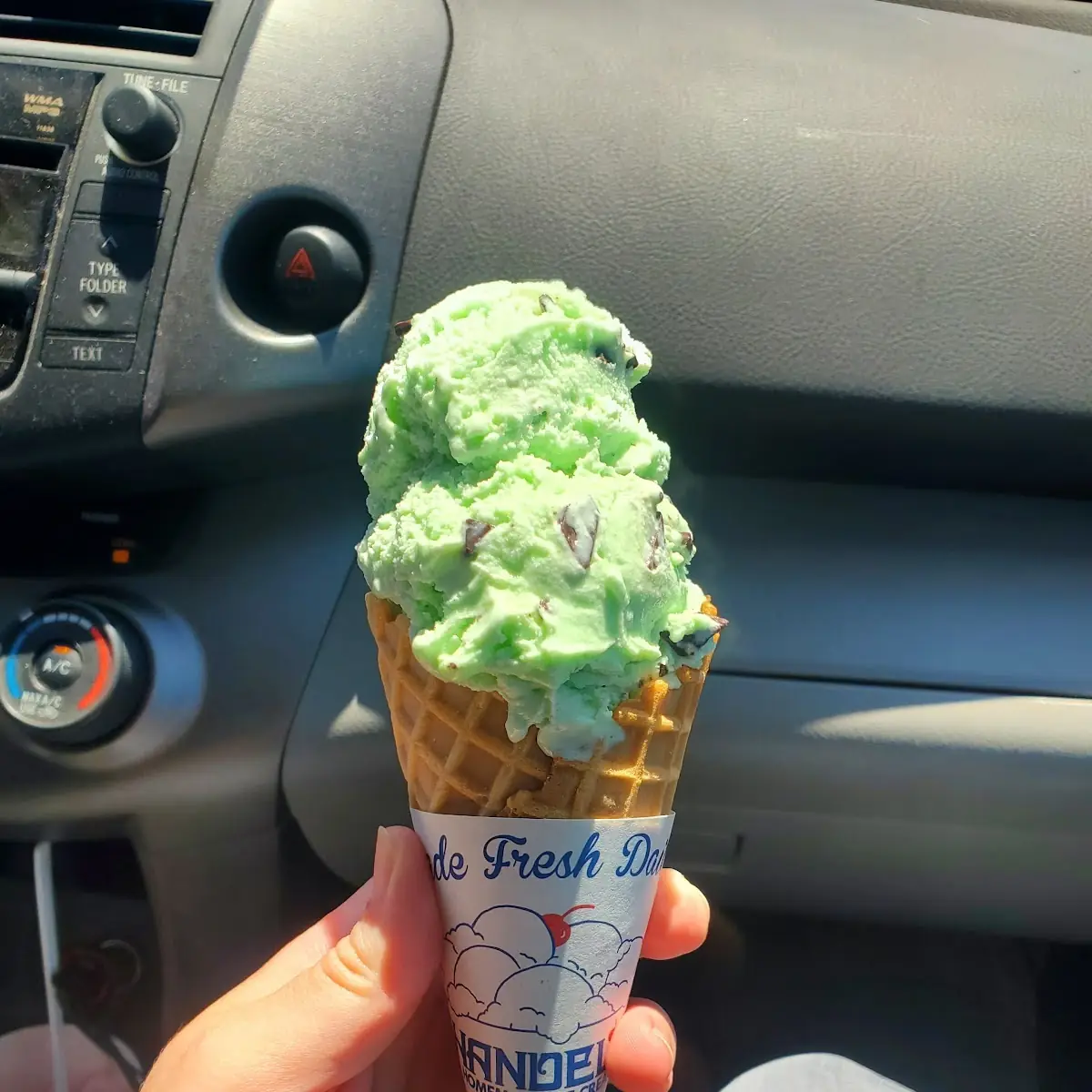 Chunky Mint Chocolate Chip
