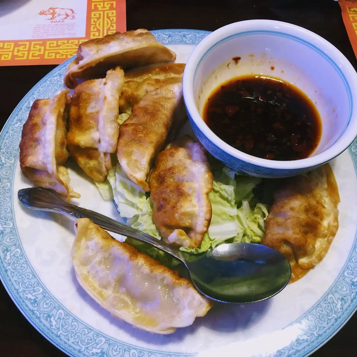 Pan-Fried Dumpling 8